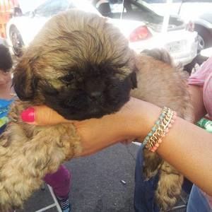 Meet your Posher, Lorena